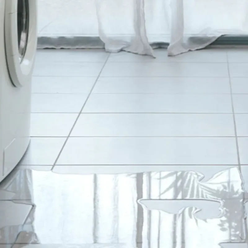 Appliance Leak Cleanup in Sturgeon Bay, WI