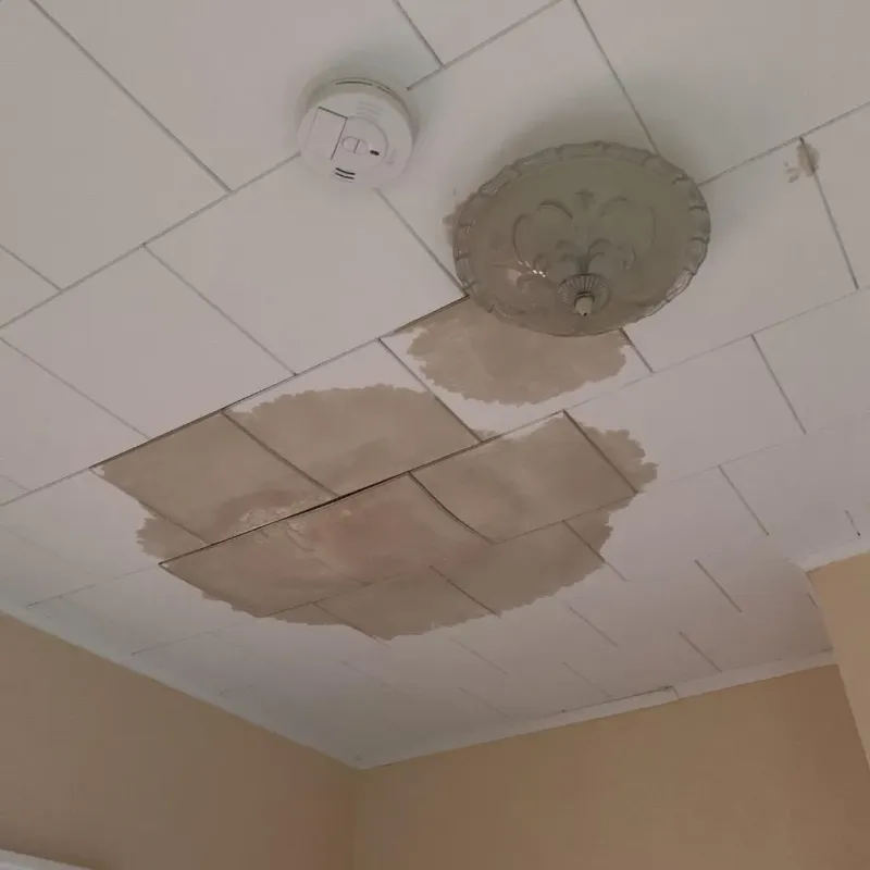 Ceiling Water Damage Repair in Sturgeon Bay, WI