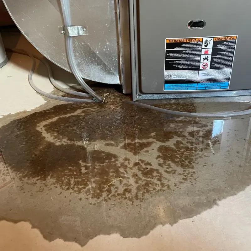 Pipe Burst and Leak Restoration in Sturgeon Bay, WI